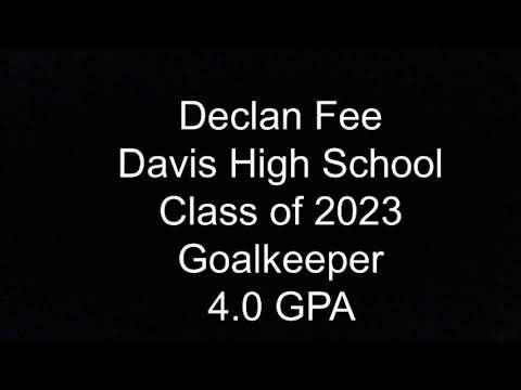 Video of Declan Fee Goalkeeper Training Video