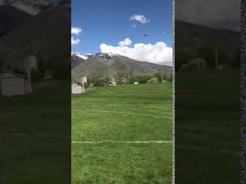 Video of Discus 