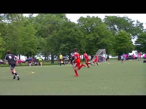 Video of The Distributor