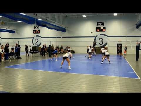Video of Jan-Mar 2019 Highlights