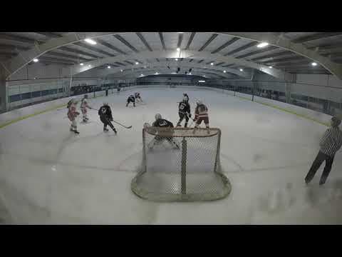 Video of Natalie Meler’s Hockey Fights Cancer Tournament 