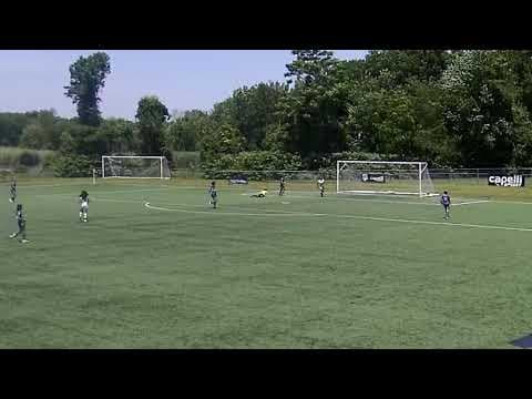 Video of Demi Goal
