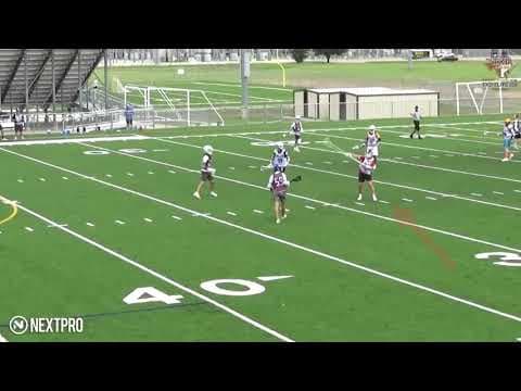 Video of Summer 2019 Highlights