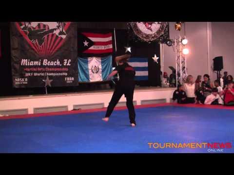 Video of martial arts skills