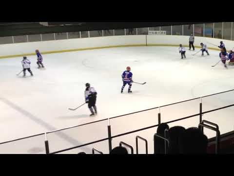 Video of Highlights
