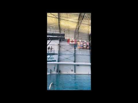 Video of Platform Diving 2022-2023