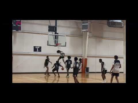 Video of Highlights