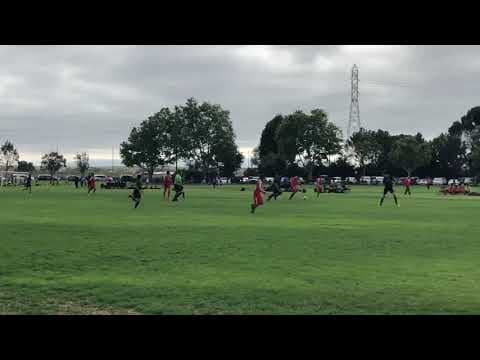 Video of Spring 2019 highlights pt2