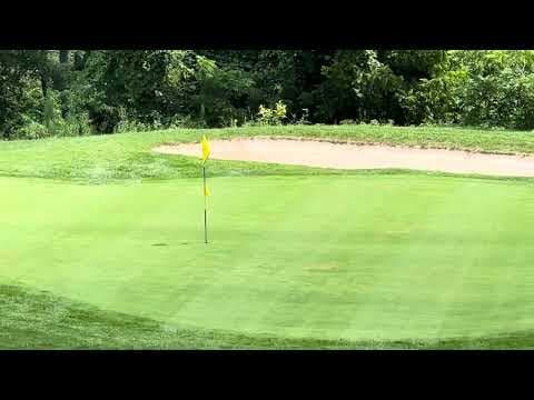 Video of 80 yard wedge shot out of heavy rough