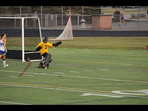 Video of 2023 Essence Wyse