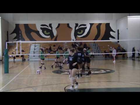 Video of Olivia Joachim Setter Class of 2019 Tiger Paws Highlights