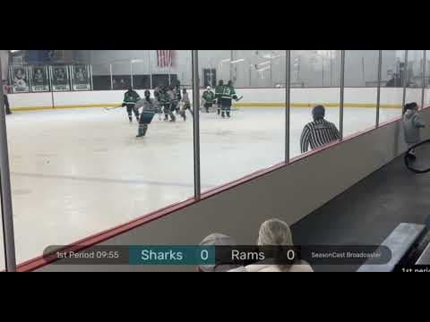 Video of Camila Goals/Assists 16AAA