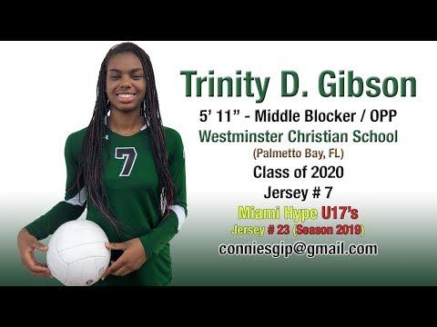 Video of TRINITY GIBSON 2017-2018 HIGH SCH. AND CLUB HIGHLIGTS
