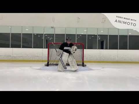 Video of Sophia Szelag 2021 Goalie Session with Ztending