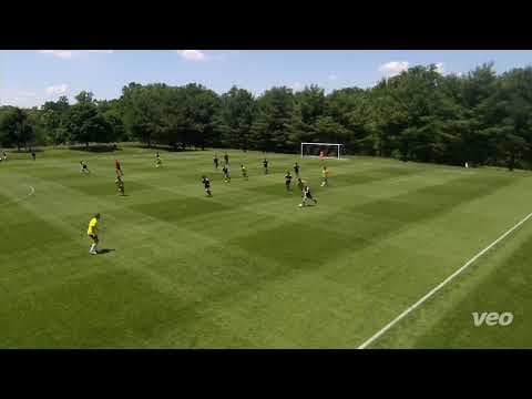 Video of Nik Avillo Highlights and Bio
