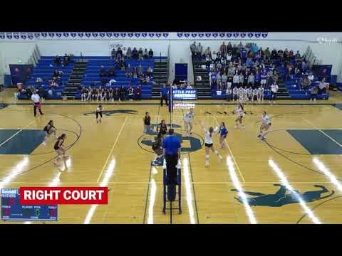Video of Delaney Dorscht #8 OH - 2025. 1st Team All Metro League