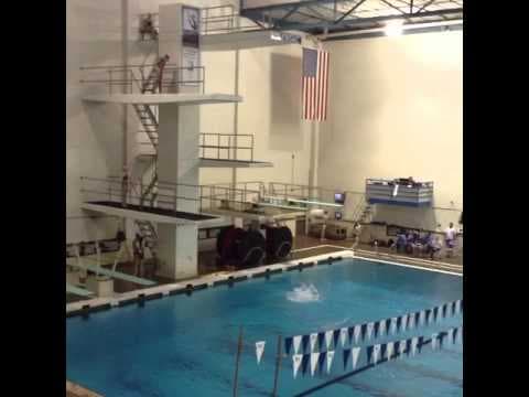 Video of Dayana Popa diving