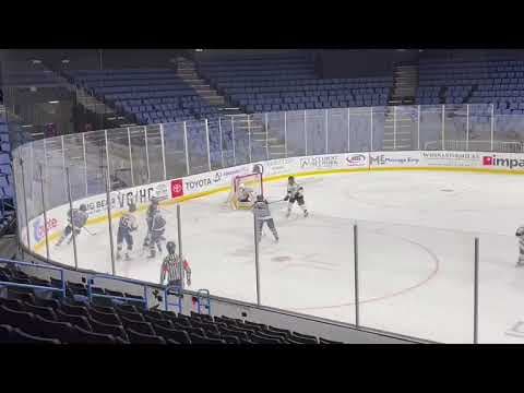 Video of Michael Savic: Michigan Goal