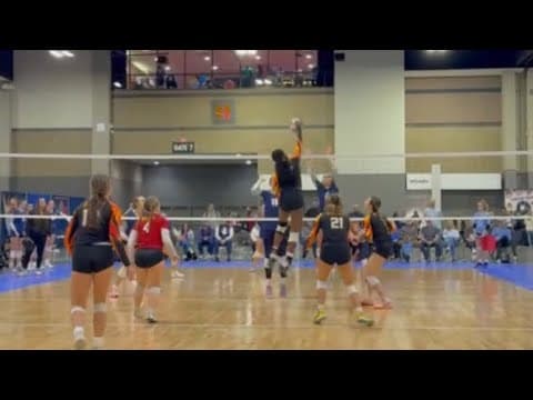 Video of 2024 Updated highlights 