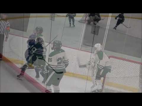 Video of Petrich stopping LOTS of pucks vs. Blake!