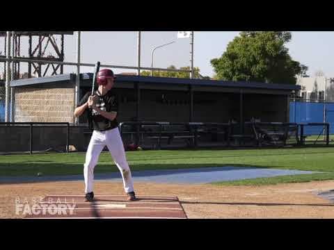 Video of February 2020 