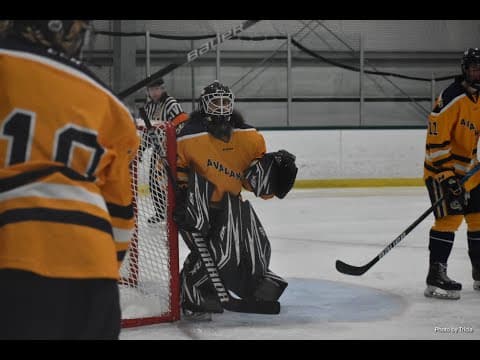 Video of Jake Agoglia- 2022 18U NAPHL Playoffs. Posted a 2-1 record and a .925 save %