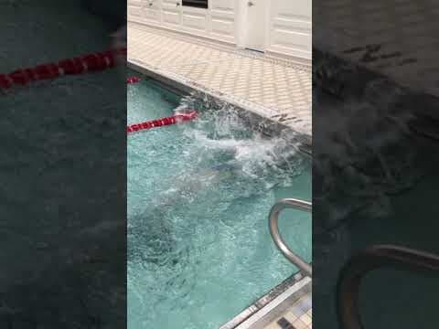 Video of Freestyle flip turn