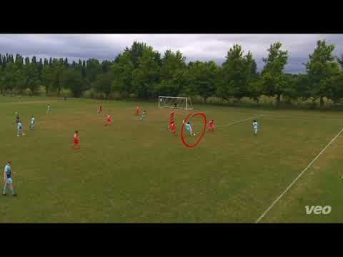 Video of Highlights 
