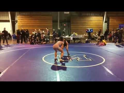 Video of Shogun 2019