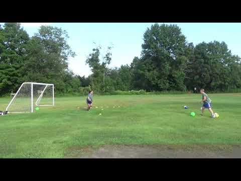 Video of Training Sessions