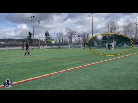 Video of 24/25 Highlights