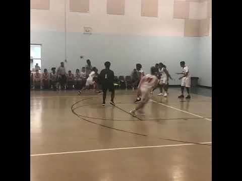 Video of VeDan #25