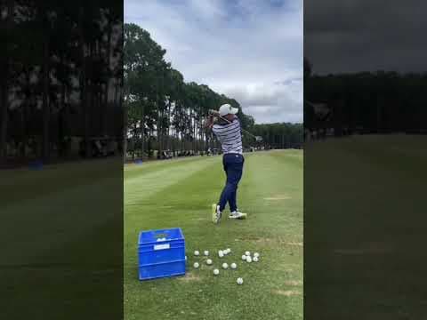 Video of Swing Shots updated Jan 2023
