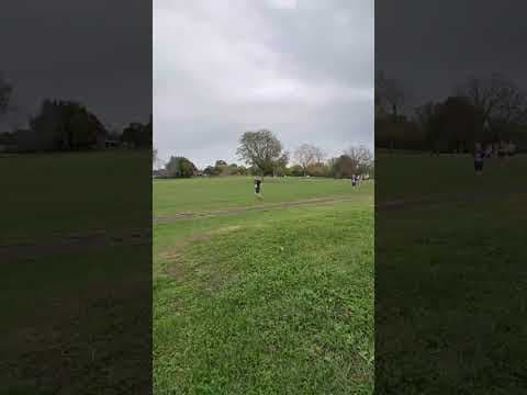 Video of October, 25, 2025