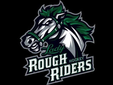 Video of LRR 14U AA vs Team Wyoming Brown (Silver Stick GM4)