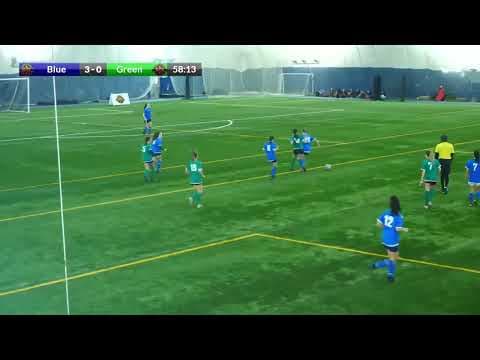 Video of Elliot Chambers highlight tape 