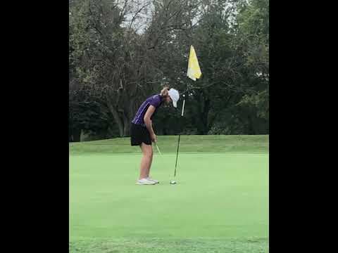Video of Anna Chip