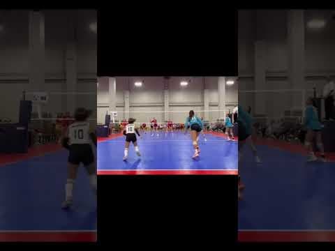 Video of Las Vegas Classic, 2/18/24, #26 setter