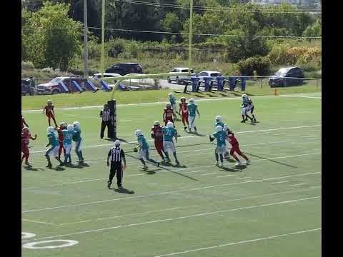 Video of Red Zone stop
