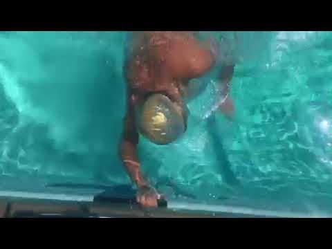 Video of 400 IM 2019 NVALS