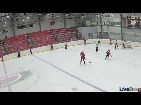 Video of Hays Hockey Clips