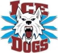 program logo