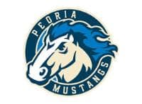 program logo