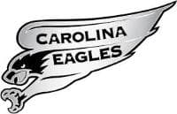 program logo