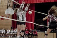 Teylor Sauer Women's Volleyball recruiting profile image
