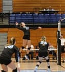 profile image for Madison Pate