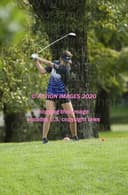 profile image for Abigail Sheller