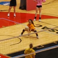 Abigail Ames Women's Volleyball recruiting profile image