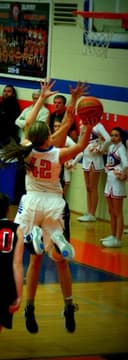 profile image for Taylor Goforth
