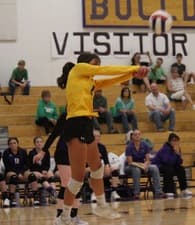Liberti Cornell Women's Volleyball recruiting profile image